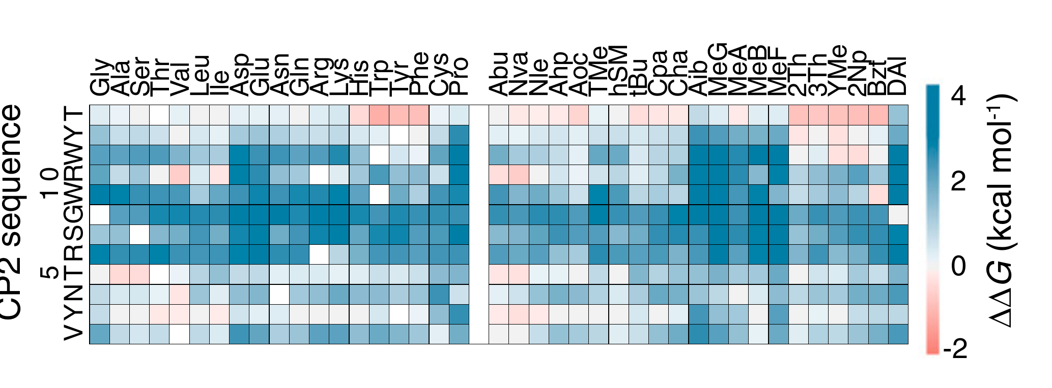 CP2 deep mutational scan heatmap